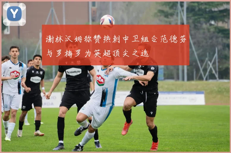 谢林汉姆称赞热刺中卫组合范德芬与罗梅罗为英超顶尖之选